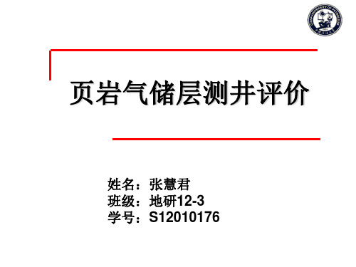 页岩气测井评价