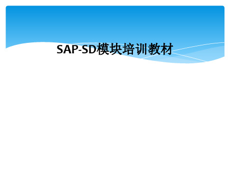 SAP-SD模块培训教材