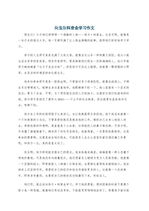 向宝尔科查金学习作文