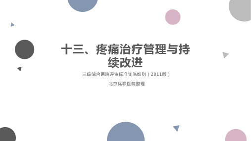 4.13第四章  十三、疼痛治疗管理与持续改进