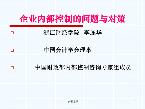 企业内部控制存在的问题与对策ppt课件