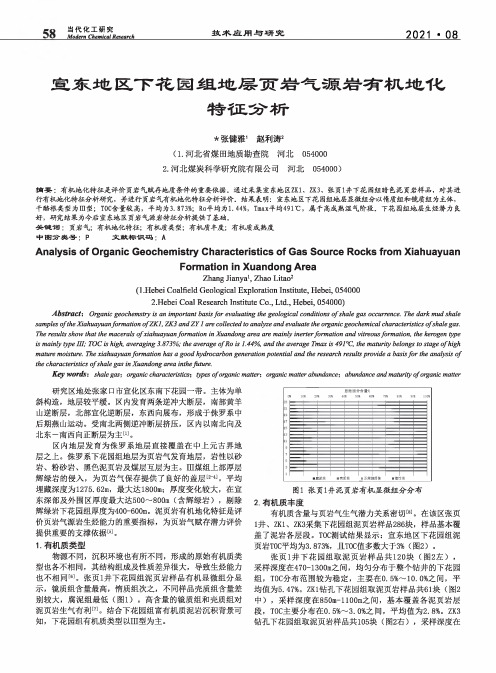 宣东地区下花园组地层页岩气源岩有机地化特征分析