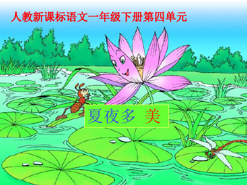 《夏夜多美》教学课件