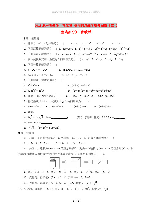 2019版中考数学一轮复习 各知识点练习题分层设计三(整式部分) 鲁教版