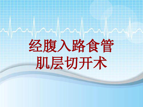 手术讲解模板：经腹入路食管肌层切开术