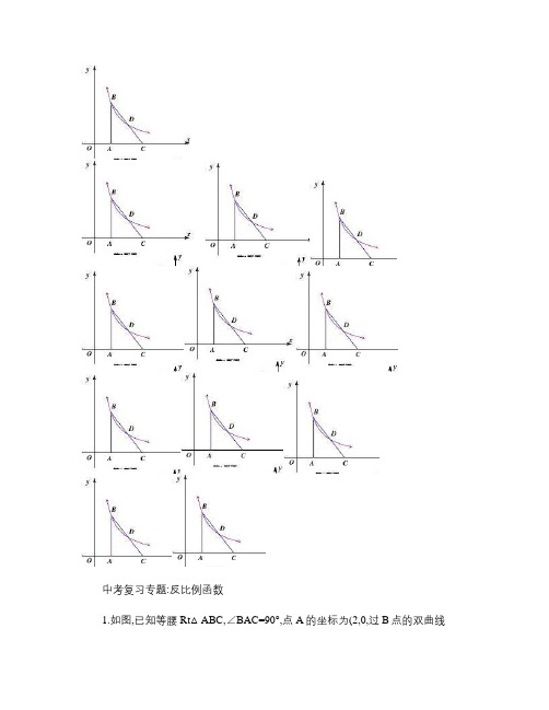 中考复习专题：反比例函数(精)