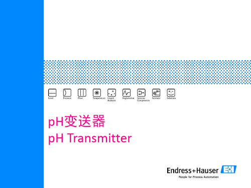 E+H-PH计020-CPM253-223变送器培训资料