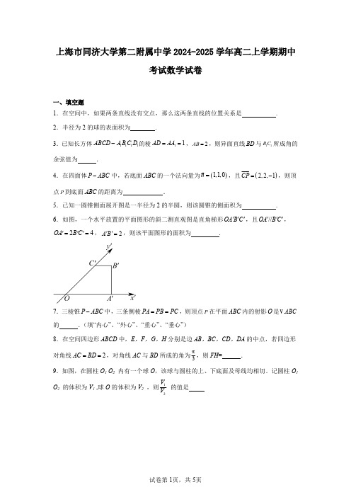 上海市同济大学第二附属中学2024-2025学年高二上学期期中考试数学试卷