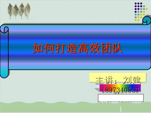 如何打造高效团队讲座PPT课件( 25页)