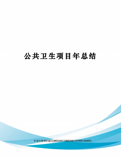 公共卫生项目年总结