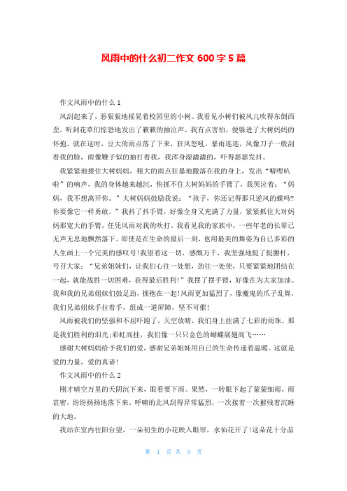 风雨中的什么初二作文600字5篇