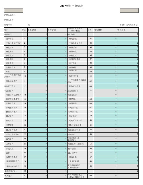 2007版财务报表资产负债表