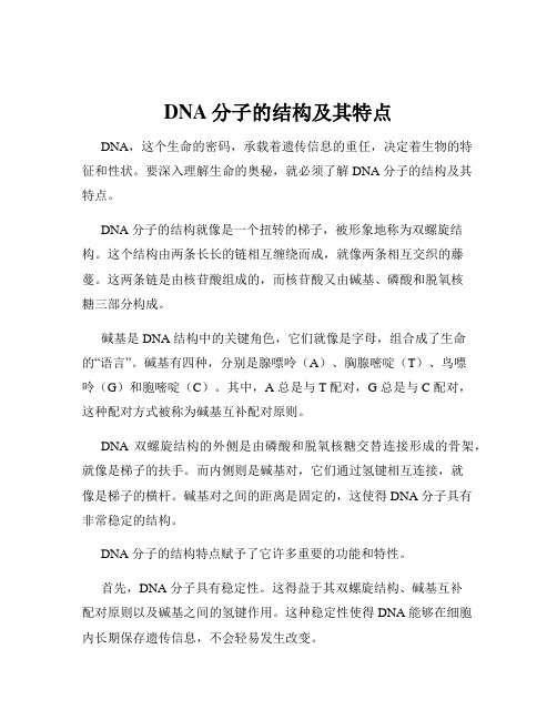 DNA分子的结构及其特点