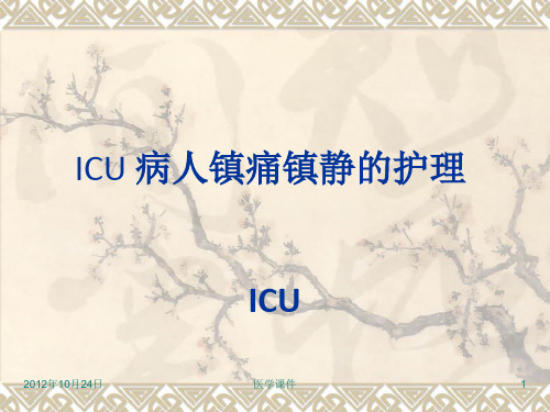 ICU病人镇痛镇静的护理--ppt课件可编辑全文