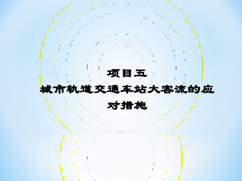 城市轨道交通车站大客流应对措施(PPT32页)