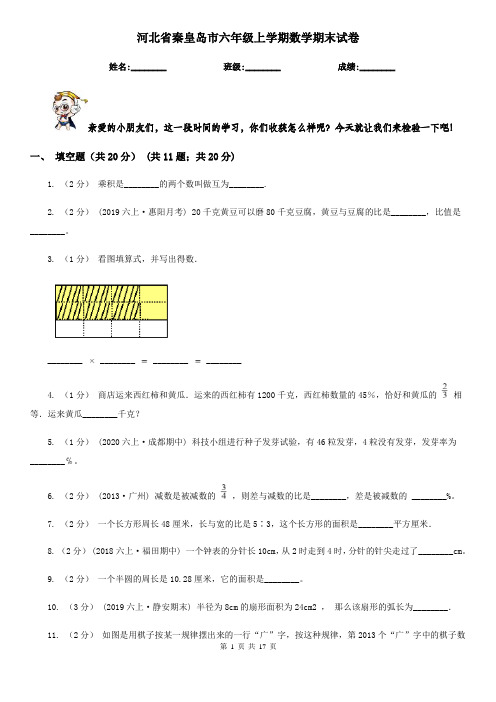 河北省秦皇岛市六年级上学期数学期末试卷