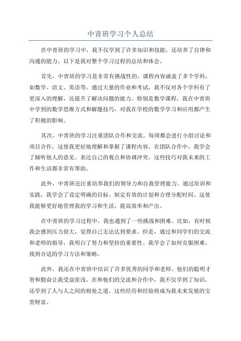 中青班学习个人总结