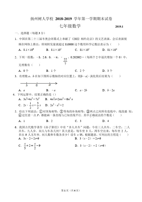 江苏省扬州中学教育集团树人学校2018-2019学年第一学期七年级期末数学试卷