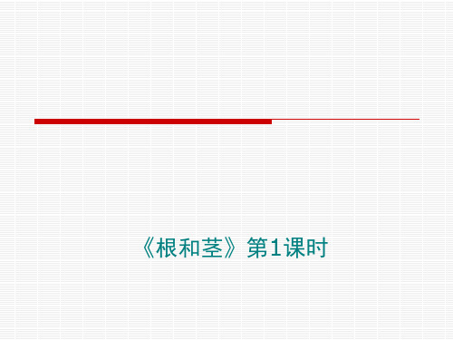 五年级上册科学课件-1.4 根和茎丨冀教版 (第一课时) (共18张PPT)