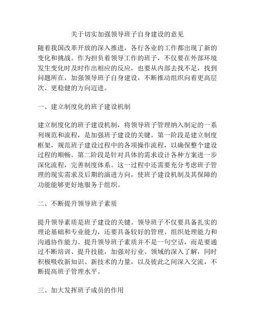 关于切实加强领导班子自身建设的意见