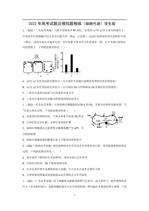 2022年高考试题及模拟题精选(细胞代谢)学生版