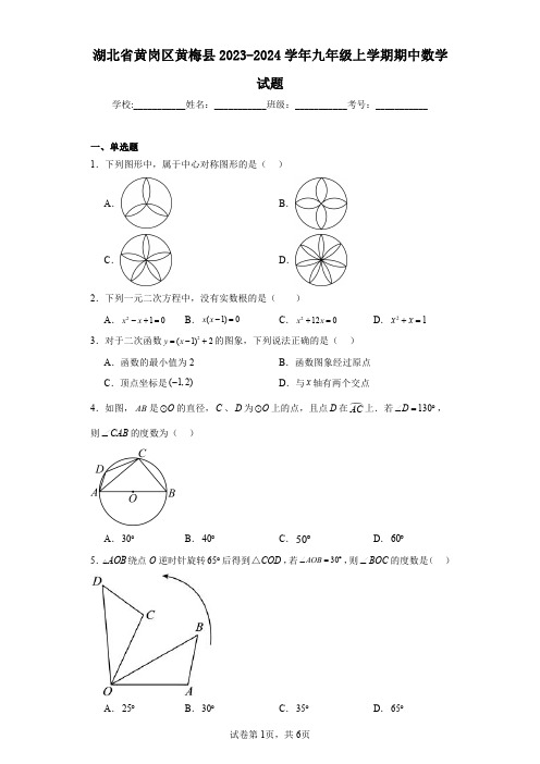 湖北省黄岗区黄梅县2023-2024学年九年级上学期期中数学试题