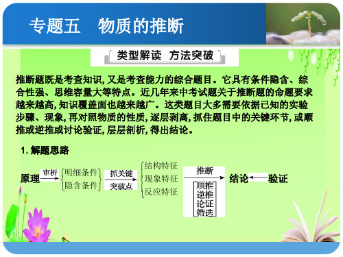 最新中考化学复习专项五 物质的推断) 35张PPT教育课件