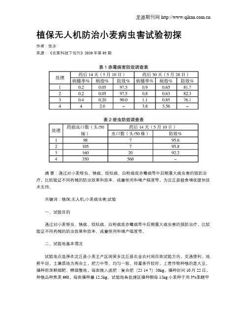 植保无人机防治小麦病虫害试验初探
