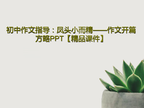 初中作文指导：凤头小而精——作文开篇方略PPT【精品课件】共30页文档