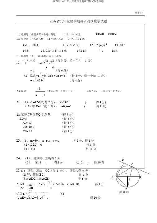 江苏省2020年九年级下学期调研测试数学试题