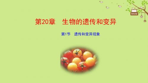 最新北师大版八年级生物上册第20章《生物的遗传和变异》整章共6课时PPT教学课件(共168页)