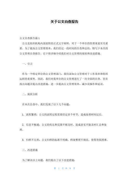 关于公文自查报告