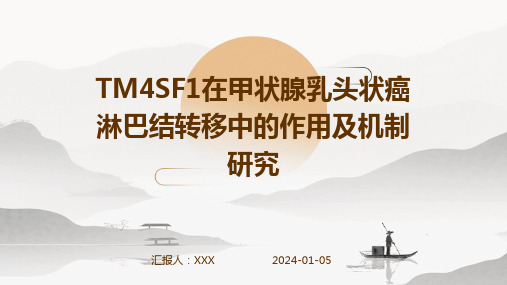 TM4SF1在甲状腺乳头状癌淋巴结转移中的作用及机制研究演示稿件