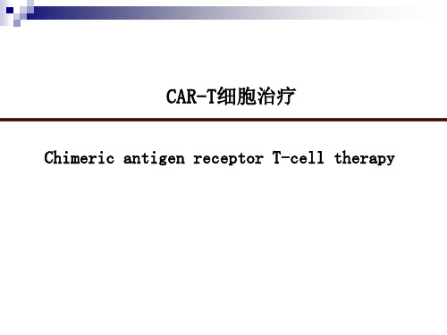 CAR-T细胞治疗 PPT课件