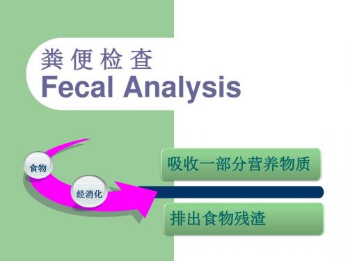粪 便检查概要