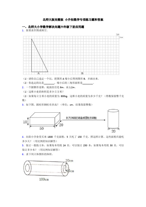 北师大版完整版 小升初数学专项练习题和答案