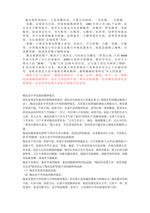 梅花精神