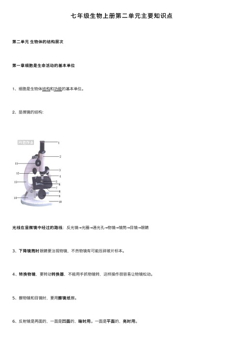 七年级生物上册第二单元主要知识点