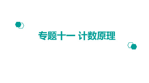 2020版高考理数：专题(11)计数原理ppt课件三