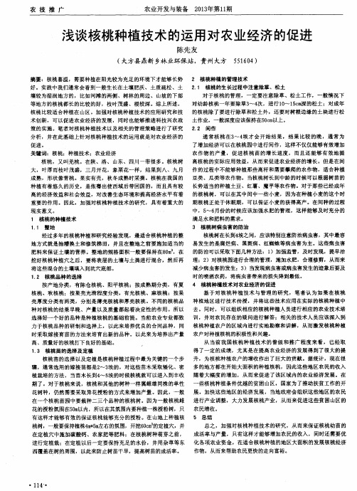 浅谈核桃种植技术的运用对农业经济的促进