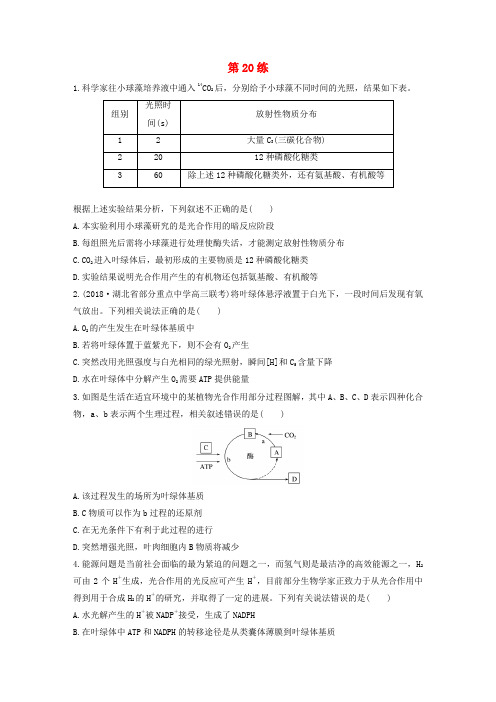 2020版高考生物(鲁京津琼)一轮复习加练半小时第三单元第20练含解析