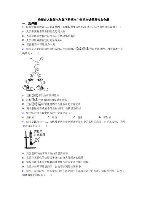 沧州市人教版七年级下册期末生物期末试卷及答案全册