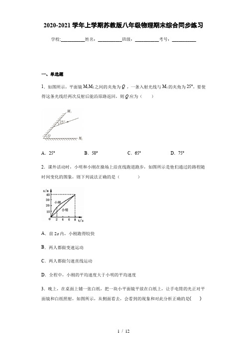 2020-2021学年上学期苏教版八年级物理期末综合同步练习