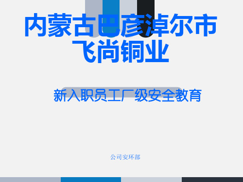 内蒙古巴彦淖尔市飞尚铜业