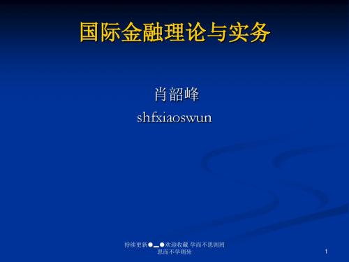 国际金融理论和实务-文档资料