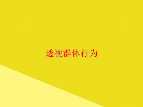 透视群体行为PPT资料(正式版)