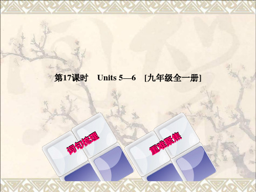 湖南省2018年中考英语总复习第一篇教材过关九全第17课时Units5_6教学课件人教新目标版