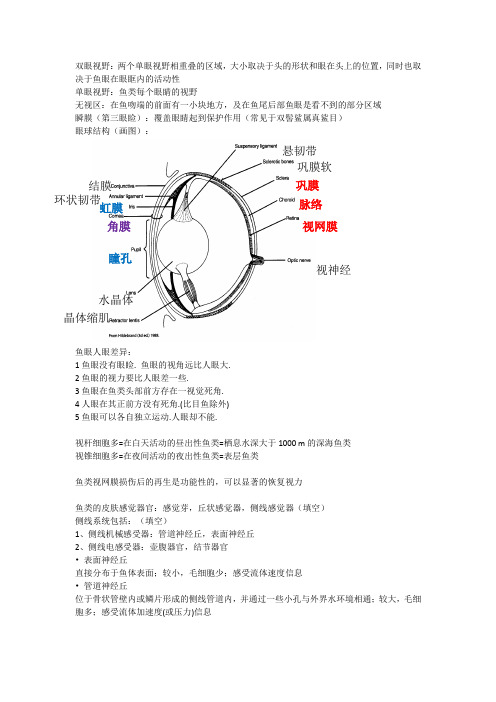 鱼类感觉与行为重点