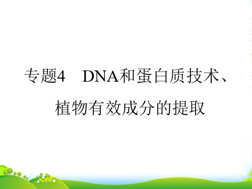 【全优设计】高考生物一轮复习 专题4 DNA和蛋白质技术、植物有效成分的提取课件 新人教选修1 