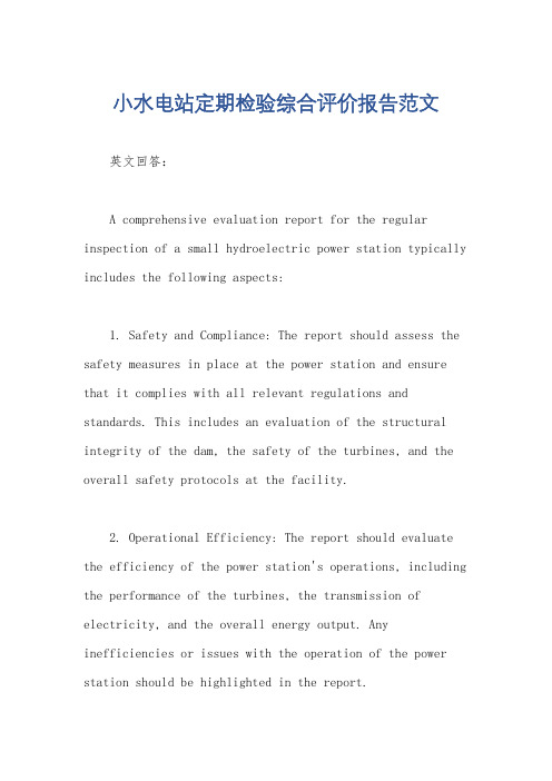 小水电站定期检验综合评价报告范文
